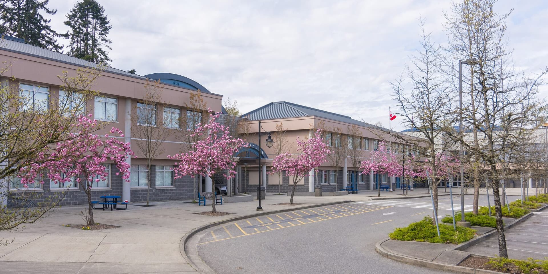 A street in Port Coquitlam, British Columbia, in spring blossom.